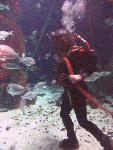 IMG_3287 IMG_3287