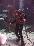 IMG_3288 IMG_3288