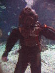 IMG_3290 IMG_3290