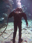 IMG_3291 IMG_3291