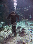 IMG_3292 IMG_3292
