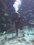IMG_3293 IMG_3293
