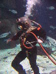 IMG_3294 IMG_3294