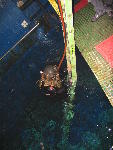 IMG_3295 IMG_3295