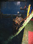 IMG_3296 IMG_3296