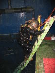 IMG_3297 IMG_3297