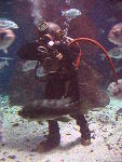 IMG_3379 IMG_3379