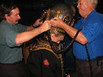 IMG_3321 IMG_3321
