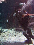 IMG_3332 IMG_3332