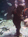 IMG_3333 IMG_3333