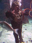 London Aquarium, London, UK: IMG 3334