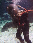 IMG_3336 IMG_3336