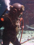 IMG_3337 IMG_3337