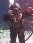 IMG_3338 IMG_3338