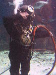 IMG_3339 IMG_3339