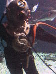 IMG_3341 IMG_3341