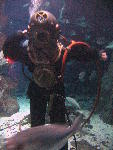 IMG_3343 IMG_3343