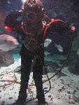 IMG_3344 IMG_3344