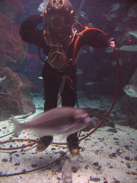 IMG_3345