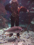 IMG_3345 IMG_3345