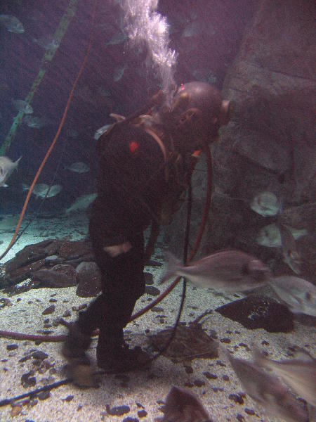 IMG_3346