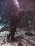 IMG_3346 IMG_3346