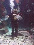 IMG_3369 IMG_3369