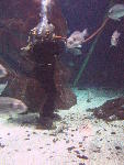 IMG_3370 IMG_3370