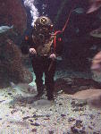 IMG_3371 IMG_3371