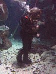 IMG_3372 IMG_3372