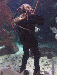 IMG_3373 IMG_3373