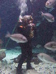 IMG_3375 IMG_3375