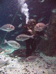IMG_3376 IMG_3376