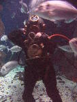IMG_3377 IMG_3377