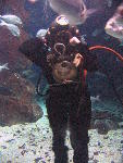 IMG_3378 IMG_3378