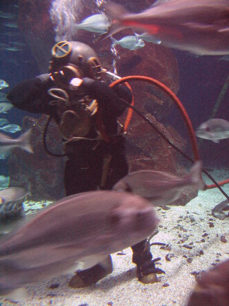 IMG_3380