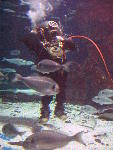 IMG_3382 IMG_3382