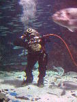 IMG_3383 IMG_3383