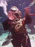 IMG_3385 IMG_3385
