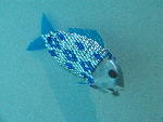 IMG_3389 IMG_3389