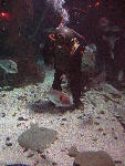 IMG_3392 IMG_3392