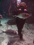 IMG_3393 IMG_3393