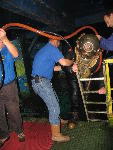 IMG_3394 IMG_3394