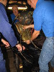 IMG_3397 IMG_3397