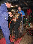 IMG_3439 IMG_3439