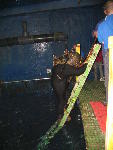 IMG_3445 IMG_3445