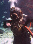 IMG_3447 IMG_3447