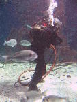 IMG_3451 IMG_3451