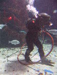 IMG_3453 IMG_3453