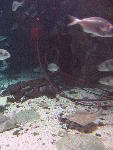 IMG_3454 IMG_3454